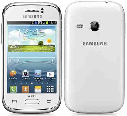 Samsung Galaxy Young S6310 Features