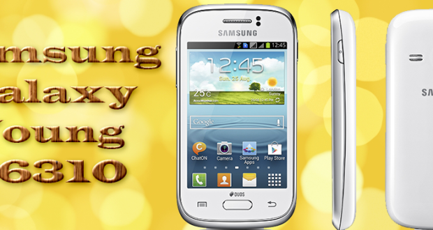 Samsung Young S6310 Price